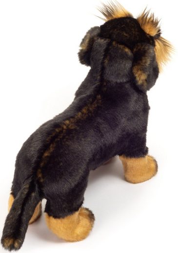 Teddy Hermann® Kuscheltier »Rauhaardackel stehend, 28 cm« – Bild 3