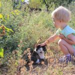 Reisen mit Baby