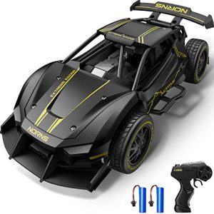 Metall RC Car Ferngesteuertes Auto für Kinder, 1:24 Auto Ferngesteuerte, RC Auto Fahrzeug mit 2.4GHz Fernbedienung ab 8 Jahre by Dodoelephant