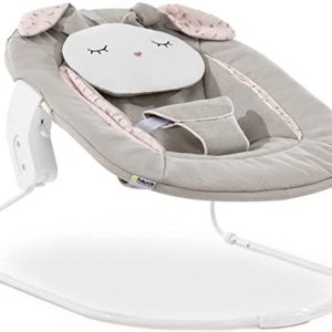 Hauck Baby Wippe Hochstuhl Aufsatz Alpha Bouncer 2 in 1 / ab Geburt nutzbar/mit Kissen/Kompatibel mit Holz Hochstuhl Alpha + und Beta + / Powder…