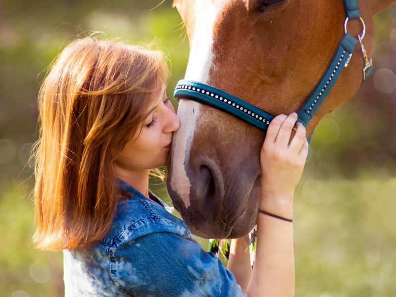 Wie Pferde die soziale und geistige Entwicklung von Kindern und Jugendlichen verbessert