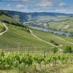 Sommerurlaub zu Hause: Familien-Ideen für echte Feriengefühle ohne Reisebudget