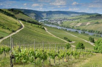 Sommerurlaub zu Hause: Familien-Ideen für echte Feriengefühle ohne Reisebudget