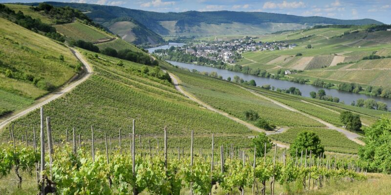 Sommerurlaub zu Hause: Familien-Ideen für echte Feriengefühle ohne Reisebudget