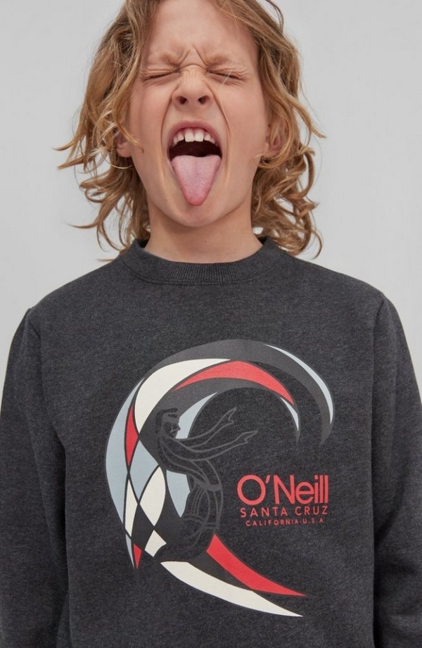 O’Neill Sweatshirt »Circle Surfer Crew Sweat«