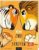 Wenn zwei sich streiten: Tiger und Löwe | Kinderbuch ab 3 Jahren über Streiten, Selbstbewusstsein und innere Stärke, mit Kinderlied